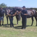 Sheena Ross with Top filly Siriana SW and Reserve Champion of tour Sable Hit SW