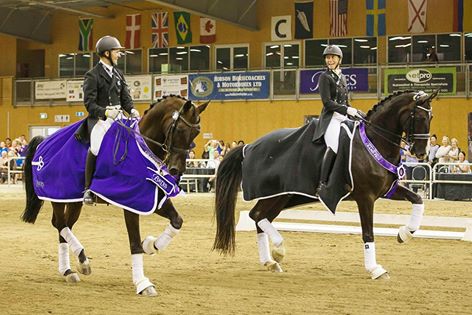 National Dressage Championships – The Hanoverians