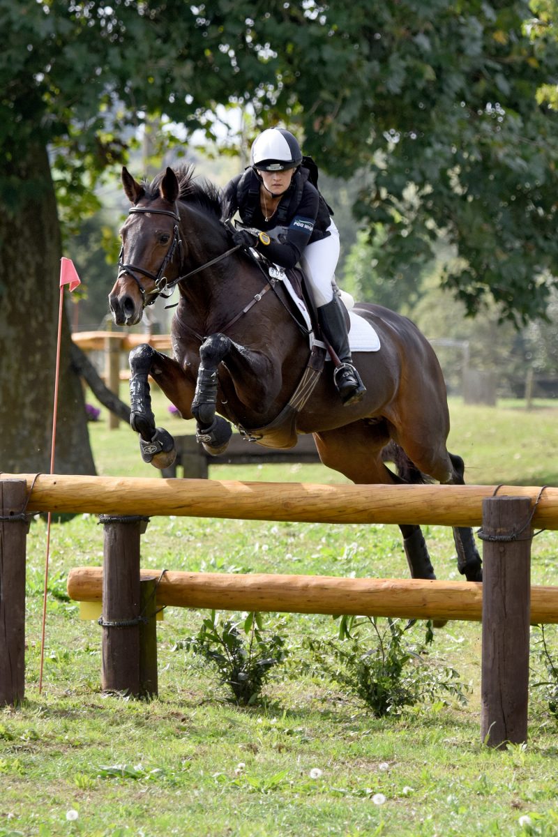 Hanoverians in Jumping and Eventing