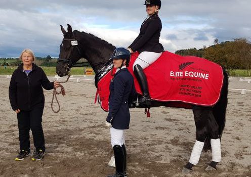 Fanfare MH – Champion Young Dressage Horse 2018