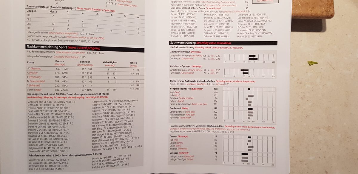 Stallion Pdf Reading the Stallion Year Book Data – NZHS