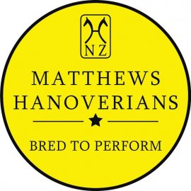Matthews Hanoverians Dressage Sash Awards – progress report