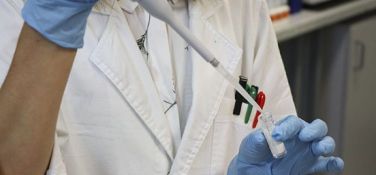 Scientists develop new method for keeping horse sperm alive for longer at ambient temperatures
