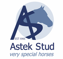 Astek Stud
