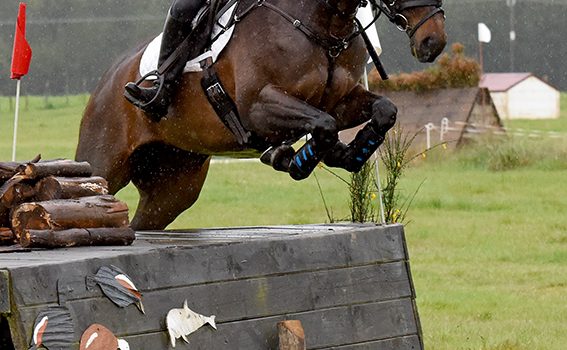 Eventing Horse News – Spring 2019