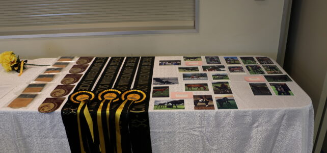 Annual Awards – Power Point Presentation of photos of the Winners