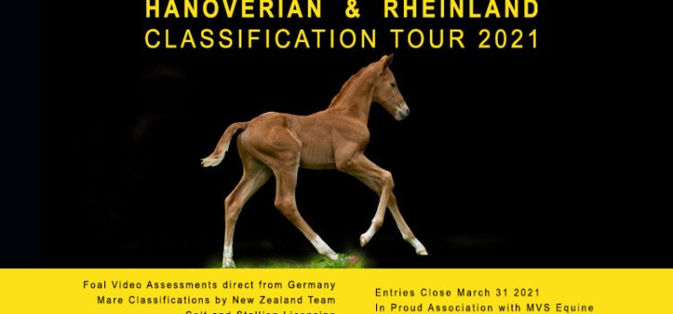 Studbook Classification Tour 2021 – foals by video assessment in Germany