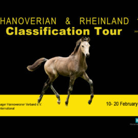 Hanoverian Studbook Tour Update – Maren Schlender from Hannoveraner Verband
