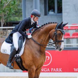 NZHS Hanoverian and Rheinland Breeders Series 2025-26