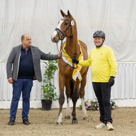Hanoverian Jumping Stallions Licensing in Verden 2023 – Quality like not seen for a long time
