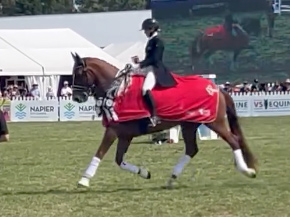 Enjoy this victory lap by Wendi Williamson and Dressage Horse of the Year 2024 NZ Don Vito MH (Don Frederico/Anamour), also winners of the Grand Prix Championship.