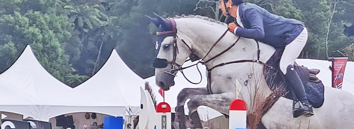 The New Zealand Hanoverian Society