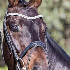 Vale: Limonit Vale: Limonit