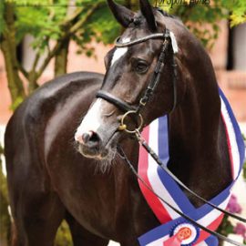 Breeding News July 2026 World Breeding News, July 2026