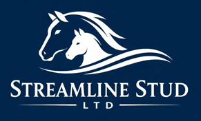 Streamline Stud